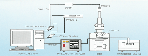 MT-1200\}